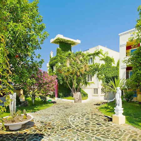 Hotel Apollon 4*